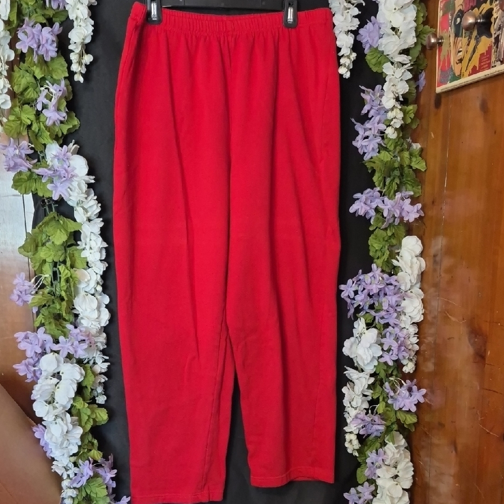 Blair Red Elastic Waist Pants